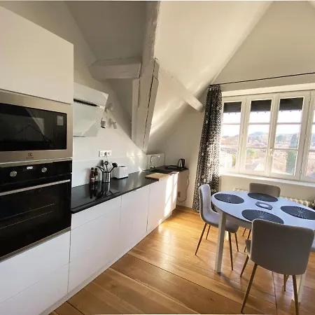 Demeure Saint Louis Historic Manor, 700m, Parking,a C,clim,wifi, Heated Pool, View 卡尔卡松