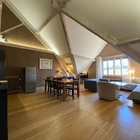 Demeure Saint Louis Historic Manor, 700m, Free Parking,a C,clim,wifi, View, Garden Каркассонн