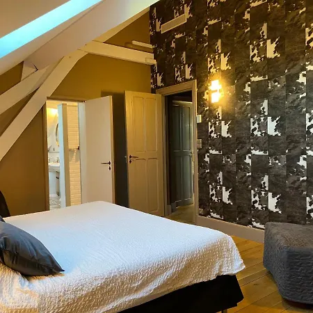 Demeure Saint Louis Historic Manor, Air-Conditioned, Free Private Parking, City 700M, Wifi, View 4*