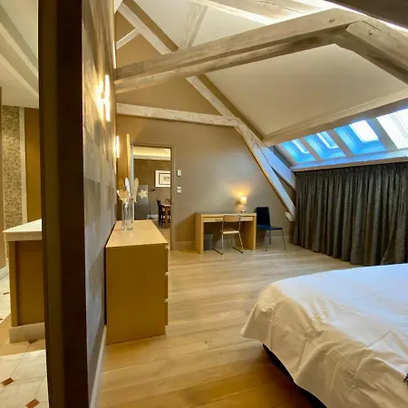 Nocleg ze śniadaniem Demeure Saint Louis Historic Manor, 700m, Parking,a C,clim,wifi, Heated Pool, View Carcassonne