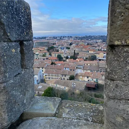 Demeure Saint Louis Historic Manor, City 700M, Free Parking,A C,Clim,Wifi, City View, Garden