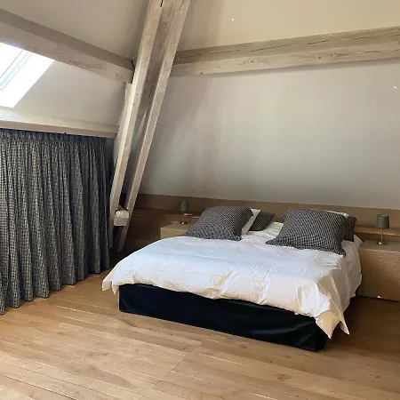 Bed & Breakfast Demeure Saint Louis Historic Manor, City 700M, Free Parking,A C,Clim,Wifi, City View, Garden