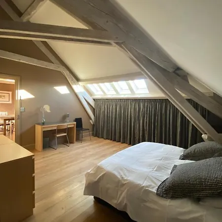 Bed & Breakfast Demeure Saint Louis Historic Manor, City 700M, Free Parking,A C,Clim,Wifi, City View, Garden