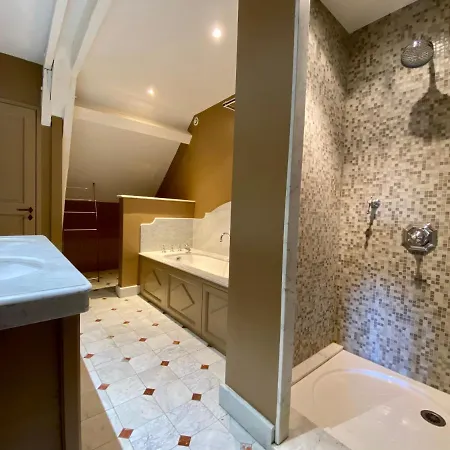 Demeure Saint Louis Historic Manor, City 700M, Free Parking,A C,Clim,Wifi, City View, Garden Bed & Breakfast Carcassonne