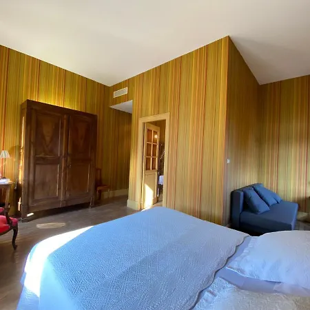 Demeure Saint Louis Historic Manor, 700m, Parking,a C,clim,wifi, Heated Pool, View 4* Carcassonne