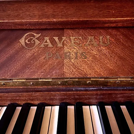 Demeure Saint Louis Historic Manor, City 700M, Free Parking,A C,Clim,Wifi, City View, Garden Bed & Breakfast 4*