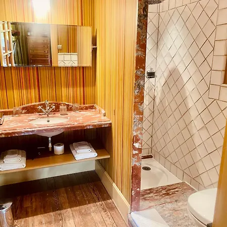 Demeure Saint Louis Historic Manor, City 700M, Free Parking,A C,Clim,Wifi, City View, Garden 4*