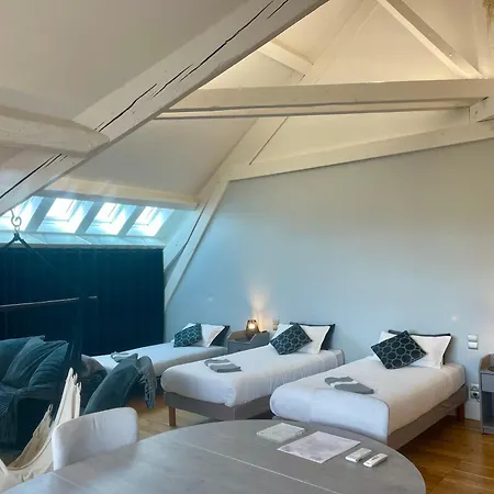Demeure Saint Louis Historic Manor, Air-Conditioned, Free Private Parking, City 700M, Wifi, View לינה וארוחת בוקר קרקסון