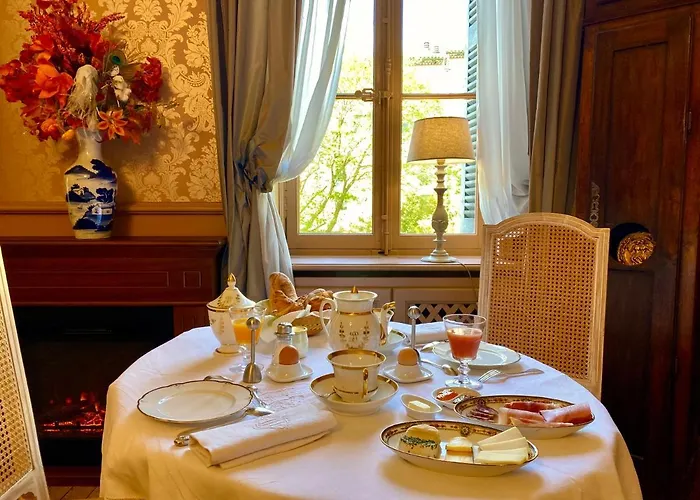 Demeure Saint Louis Historic Manor, City 700M, Free Parking,A C,Clim,Wifi, City View, Garden Carcassonne