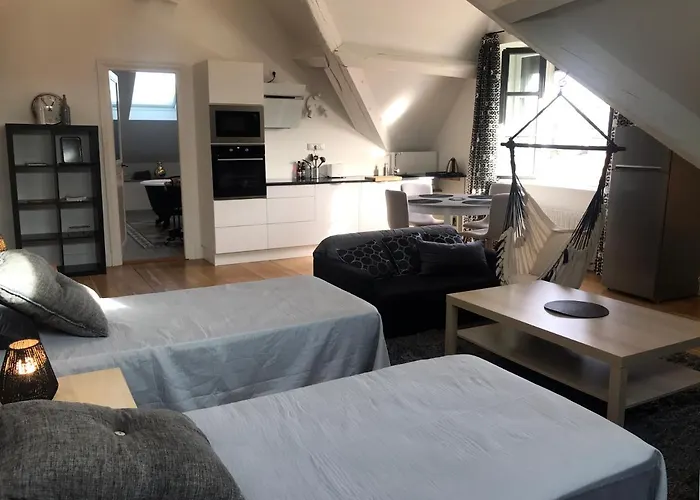 Bed & Breakfast Demeure Saint Louis Historic Manor, City 700M, Free Parking,A C,Clim,Wifi, City View, Garden Carcassonne