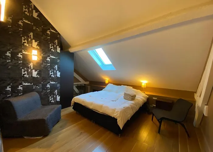 Demeure Saint Louis Historic Manor, City 700M, Free Parking,A C,Clim,Wifi, City View, Garden 4* Carcassonne