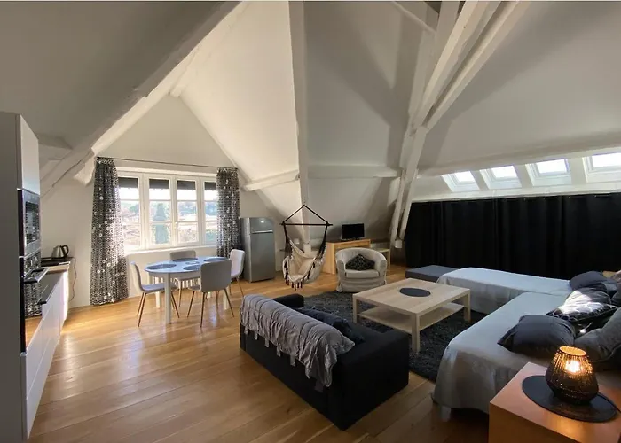 Demeure Saint Louis Historic Manor, City 700M, Free Parking,A C,Clim,Wifi, City View, Garden 4*