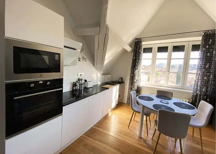 Demeure Saint Louis Historic Manor, City 700M, Free Parking,A C,Clim,Wifi, City View, Garden Carcassonne