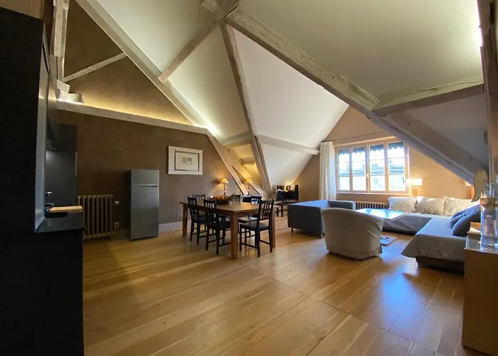 Demeure Saint Louis Historic Manor, City 700M, Free Parking,A C,Clim,Wifi, City View, Garden Carcassonne