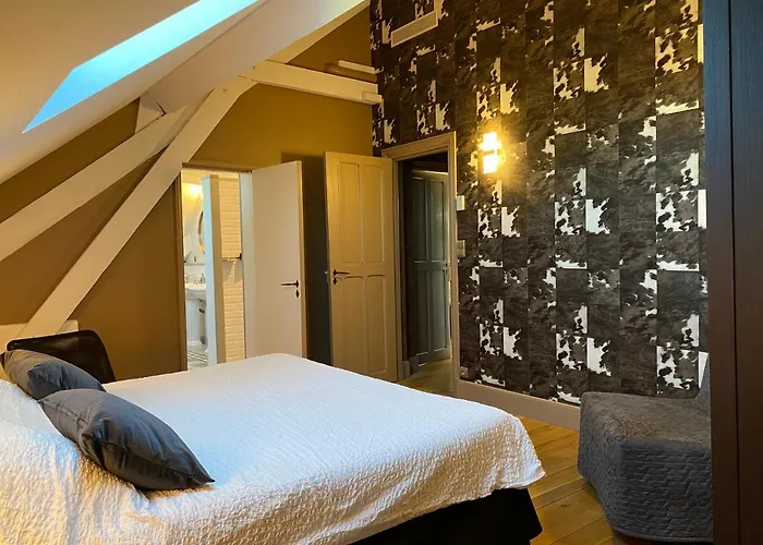 Demeure Saint Louis Historic Manor, City 700M, Free Parking,A C,Clim,Wifi, City View, Garden 4*