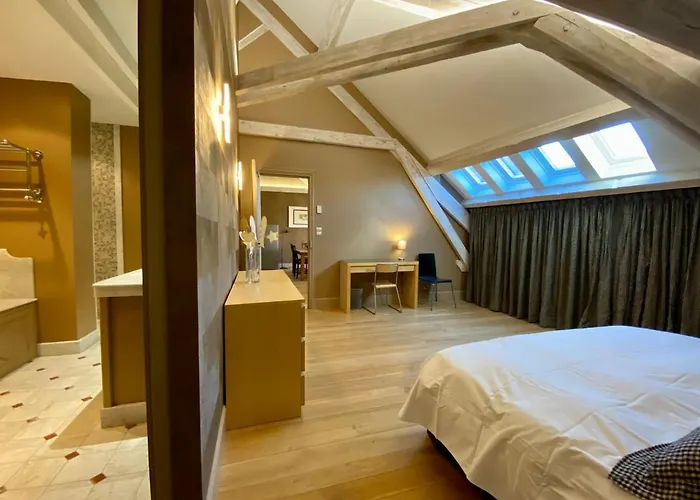 Bed & Breakfast Demeure Saint Louis Historic Manor, City 700M, Free Parking,A C,Clim,Wifi, City View, Garden Carcassonne