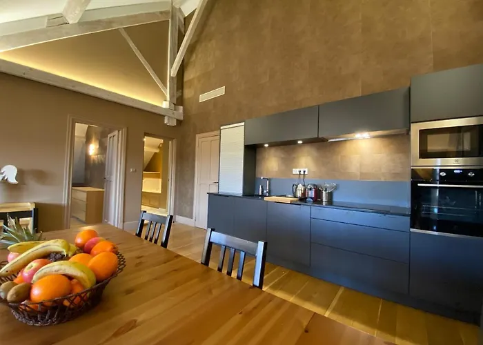 Demeure Saint Louis Historic Manor, City 700M, Free Parking,A C,Clim,Wifi, City View, Garden 4* Carcassonne