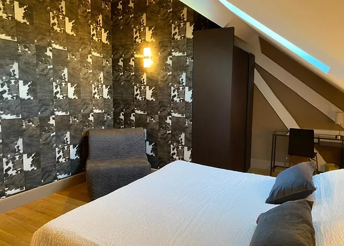 Demeure Saint Louis Historic Manor, City 700M, Free Parking,A C,Clim,Wifi, City View, Garden Bed & Breakfast Carcassonne