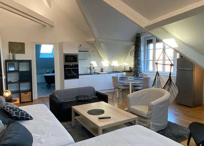 Bed & Breakfast Demeure Saint Louis Historic Manor, City 700M, Free Parking,A C,Clim,Wifi, City View, Garden