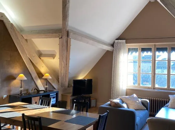 Bed & Breakfast Demeure Saint Louis Historic Manor, City 700M, Free Parking,A C,Clim,Wifi, City View, Garden Carcassonne