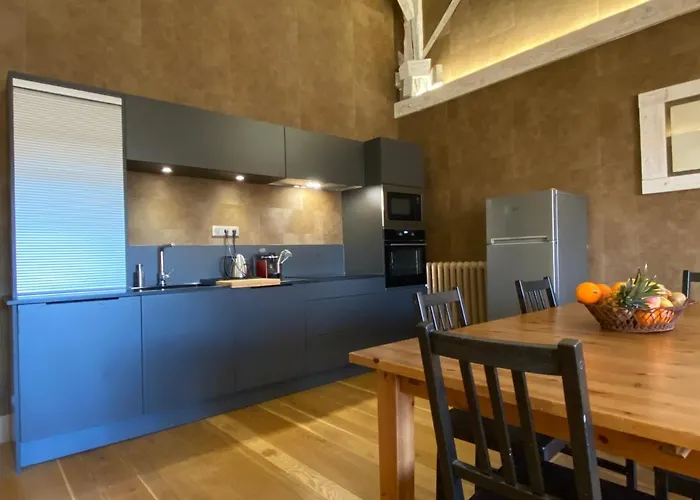 Demeure Saint Louis Historic Manor, City 700M, Free Parking,A C,Clim,Wifi, City View, Garden Carcassonne