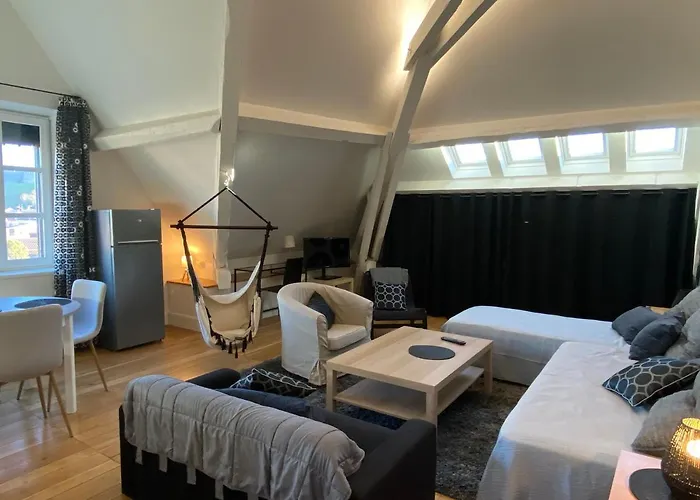 Demeure Saint Louis Historic Manor, City 700M, Free Parking,A C,Clim,Wifi, City View, Garden Bed & Breakfast Carcassonne