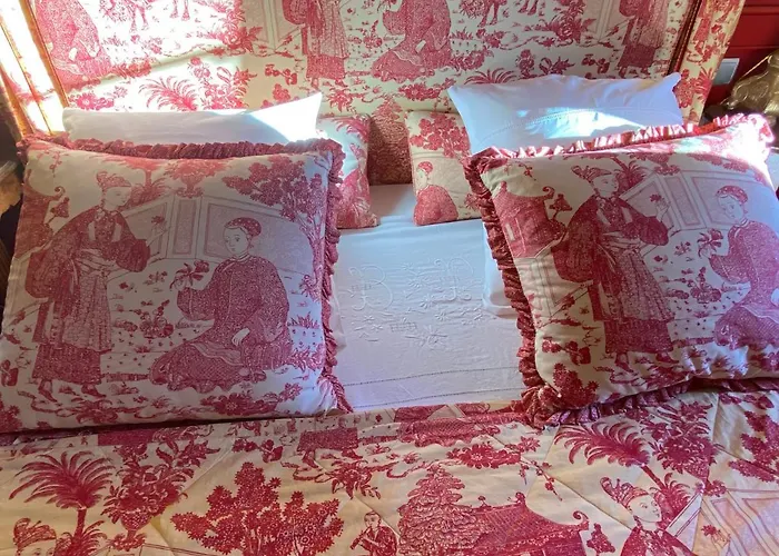 Bed & Breakfast Demeure Saint Louis Historic Manor, City 700M, Free Parking,A C,Clim,Wifi, City View, Garden Carcassonne