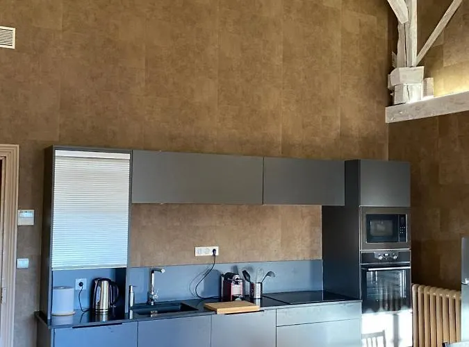 Demeure Saint Louis Historic Manor, City 700M, Free Parking,A C,Clim,Wifi, City View, Garden Bed & Breakfast Carcassonne