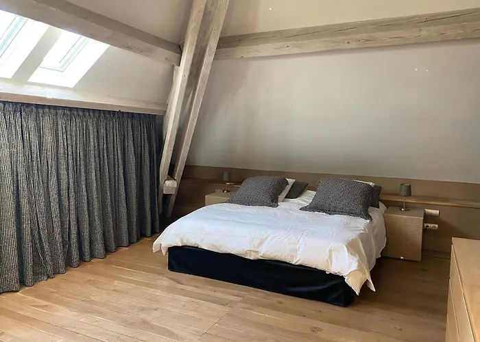 Bed & Breakfast Demeure Saint Louis Historic Manor, City 700M, Free Parking,A C,Clim,Wifi, City View, Garden