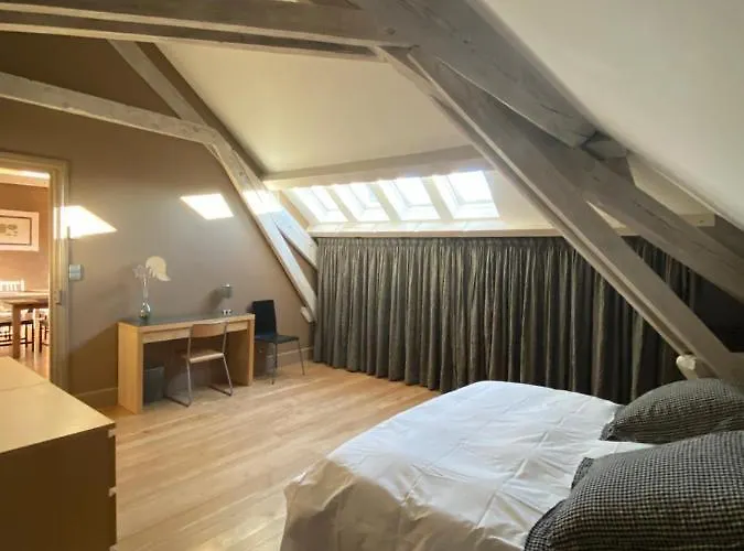 Bed & Breakfast Demeure Saint Louis Historic Manor, City 700M, Free Parking,A C,Clim,Wifi, City View, Garden