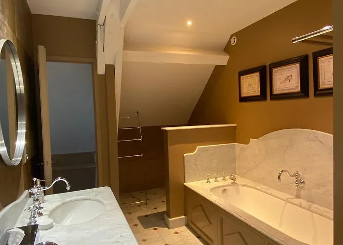 Demeure Saint Louis Historic Manor, City 700M, Free Parking,A C,Clim,Wifi, City View, Garden Carcassonne