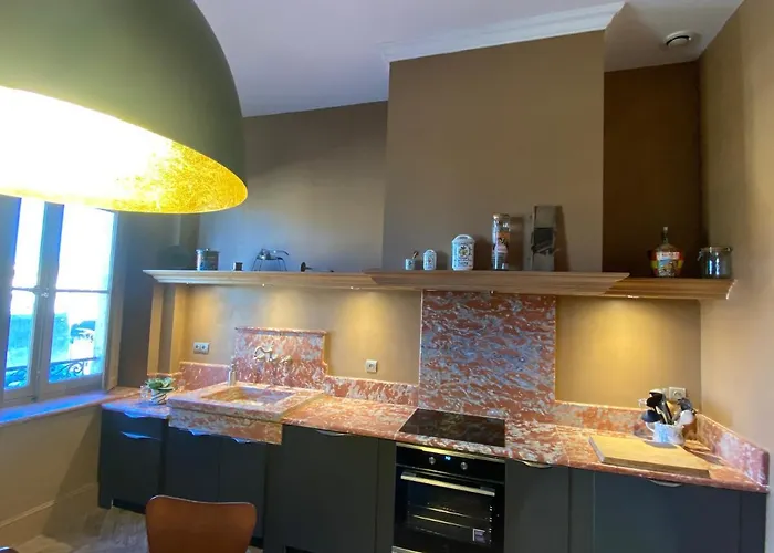 Demeure Saint Louis Historic Manor, City 700M, Free Parking,A C,Clim,Wifi, City View, Garden Carcassonne