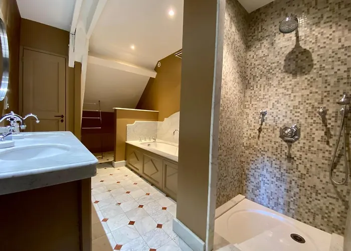 Demeure Saint Louis Historic Manor, City 700M, Free Parking,A C,Clim,Wifi, City View, Garden Bed & Breakfast Carcassonne