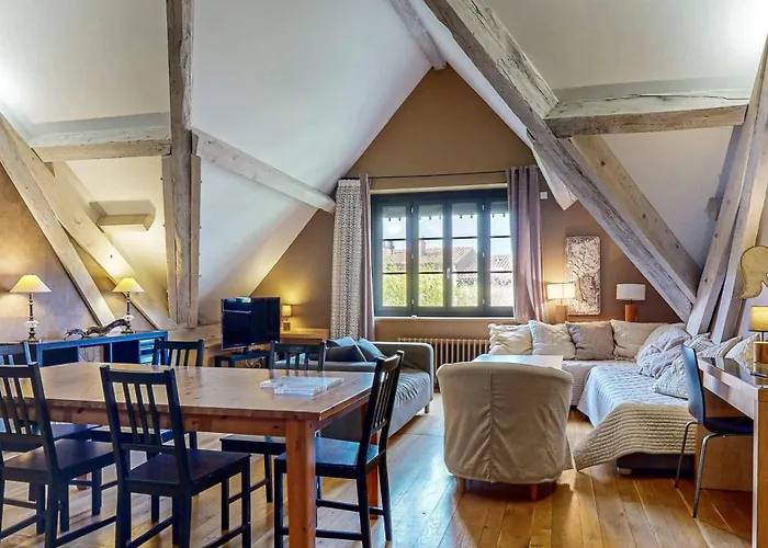 Demeure Saint Louis Historic Manor, City 700M, Free Parking,A C,Clim,Wifi, City View, Garden Bed & Breakfast Carcassonne