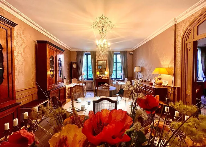 Bed & Breakfast Demeure Saint Louis Historic Manor, City 700M, Free Parking,A C,Clim,Wifi, City View, Garden